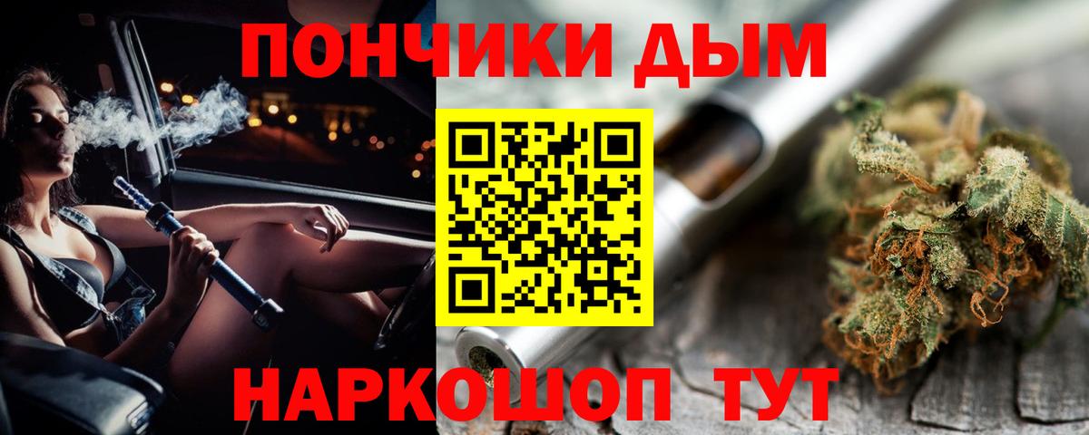 Шишки марихуана план  Гусиноозёрск  Марихуана сатива 