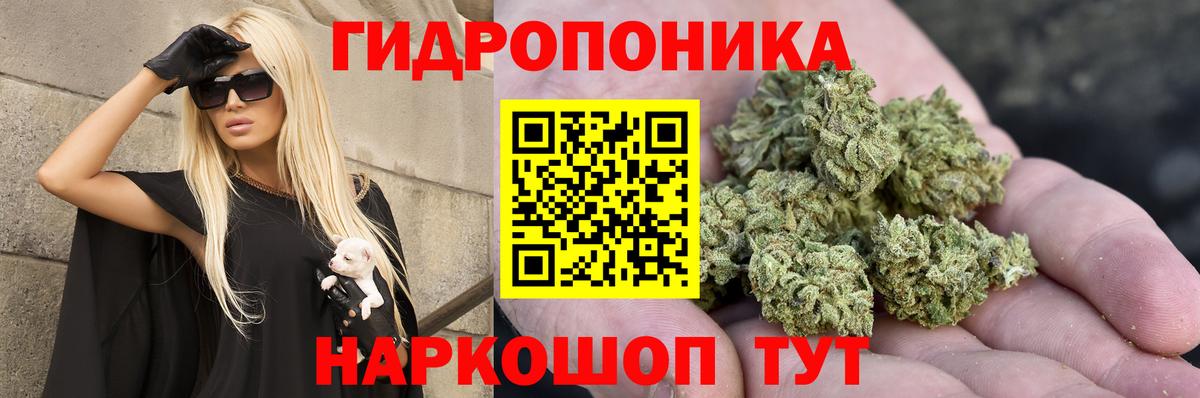 Бошки Шишки сатива  Бошки марихуана Ganja  Канабис MAZAR  Вход с VPN  Гусиноозёрск 